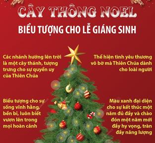 Cây thông Noel - biểu tượng cho lễ Giáng sinh