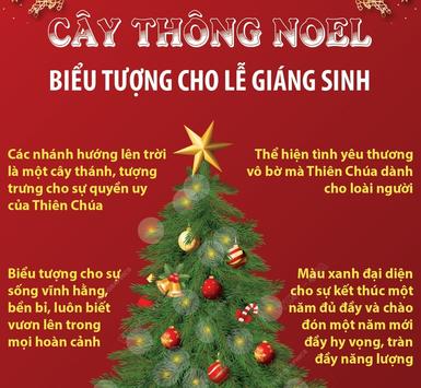Cây thông Noel - biểu tượng cho lễ Giáng sinh