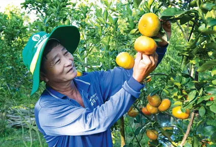 Hà Nội hoàn thành nhiệm vụ xây dựng nông thôn mới