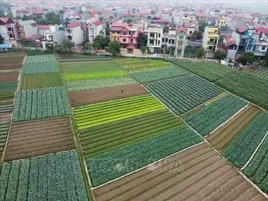 Nông thôn mới 2026 - 2035: Hiện đại và bền vững