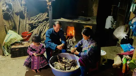 Thoát nghèo bền vững: Thành tựu, thách thức và hướng đi mới giai đoạn 2026 - 2030