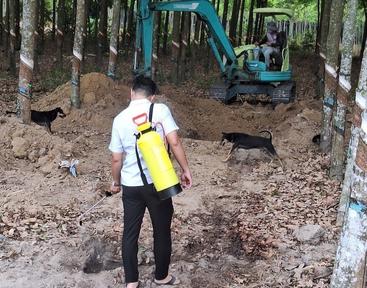 Tiêu hủy hơn 6,3 tấn thịt lợn không đảm bảo an toàn thực phẩm