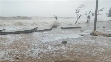 Thời tiết ngày 30/10: Từ Hà Tĩnh đến Thừa Thiên - Huế có mưa to, nguy cơ sạt lở đất 