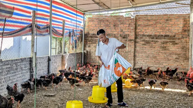 Liên kết sản xuất nông nghiệp: Tăng nguồn lực, mở cơ hội thoát nghèo
