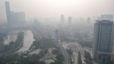 Thời tiết ngày 30/12: Bắc Bộ sáng sớm có sương mù, trưa nắng