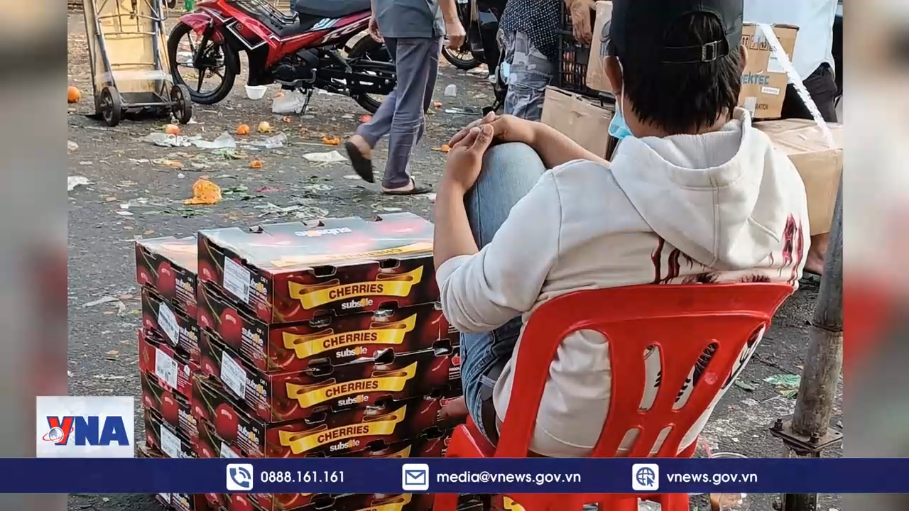 Cherry Chile về Việt Nam giá rẻ chưa từng thấy