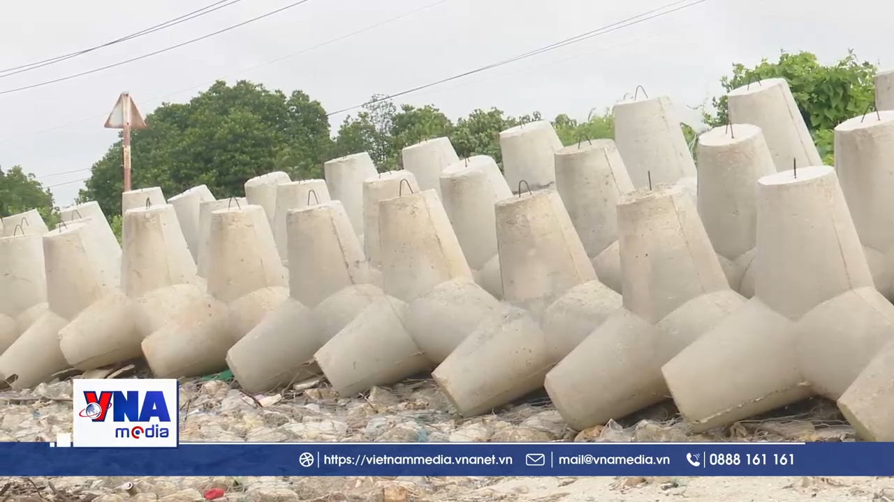 Cà Mau giảm thiểu sạt lở, ổn định đời sống người dân 