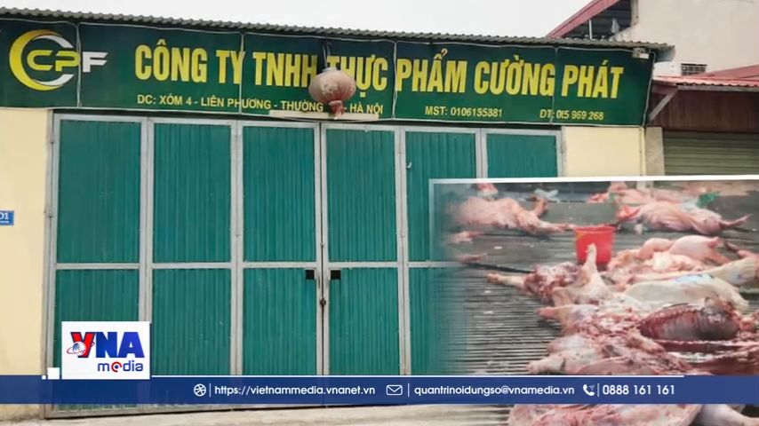 Công khai đơn vị cung cấp suất ăn trường học để toàn xã hội giám sát