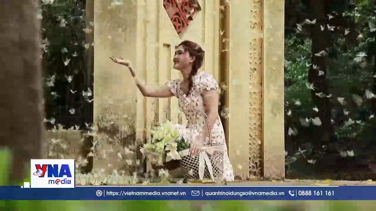 Du khách thích thú săn mùa bướm đến sớm ở Cúc Phương