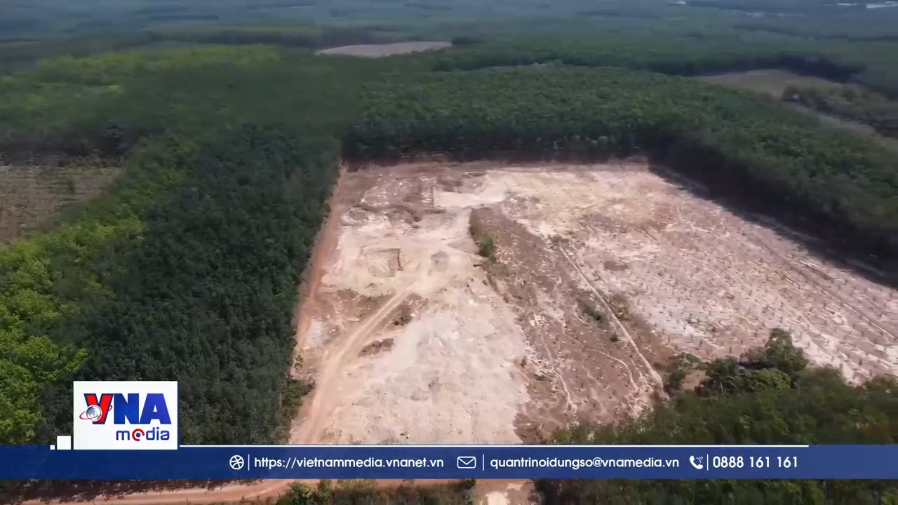 Người dân phản ánh tình trạng khai thác đất trái phép