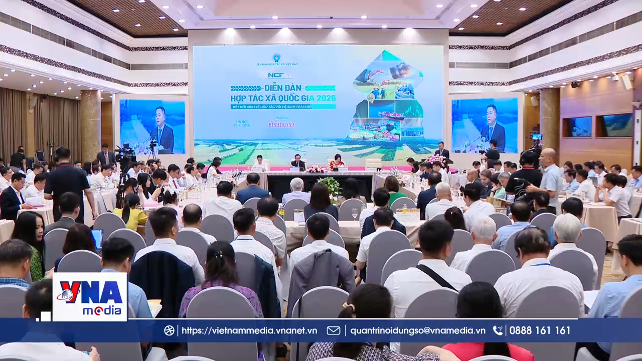 Kết nối hệ sinh thái HTX với kinh tế tư nhân