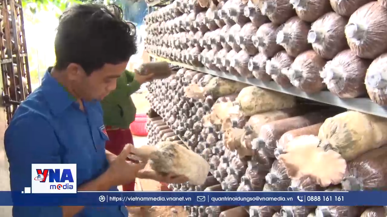 Việt Nam sẽ thí điểm chính sách 'doanh nghiệp một người'