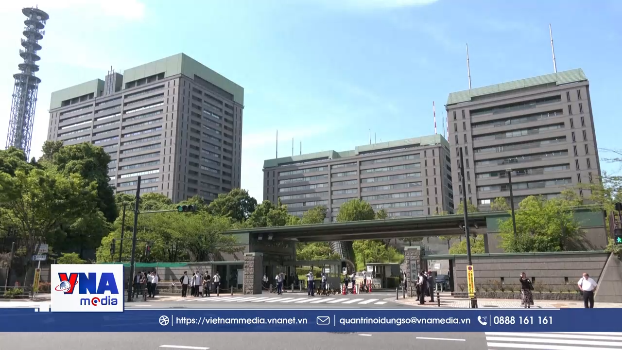 Nhật Bản hỗ trợ những người thuộc 