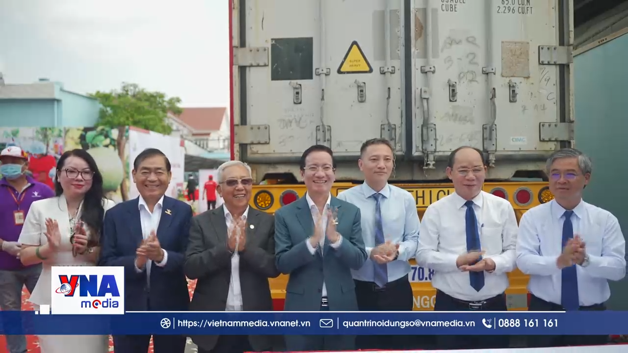 Bưởi da xanh đã có 