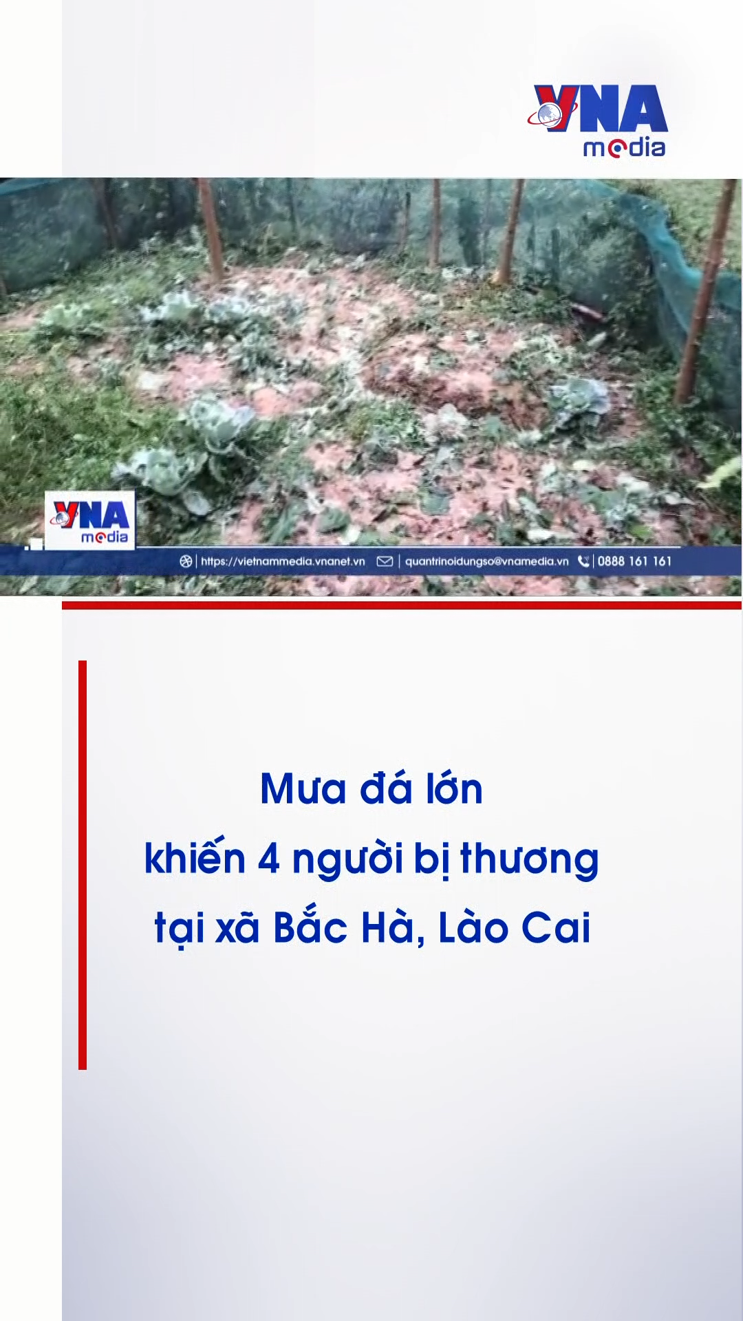  Mưa đá lớn khiến 4 người bị thương tại xã Bắc Hà, Lào Cai