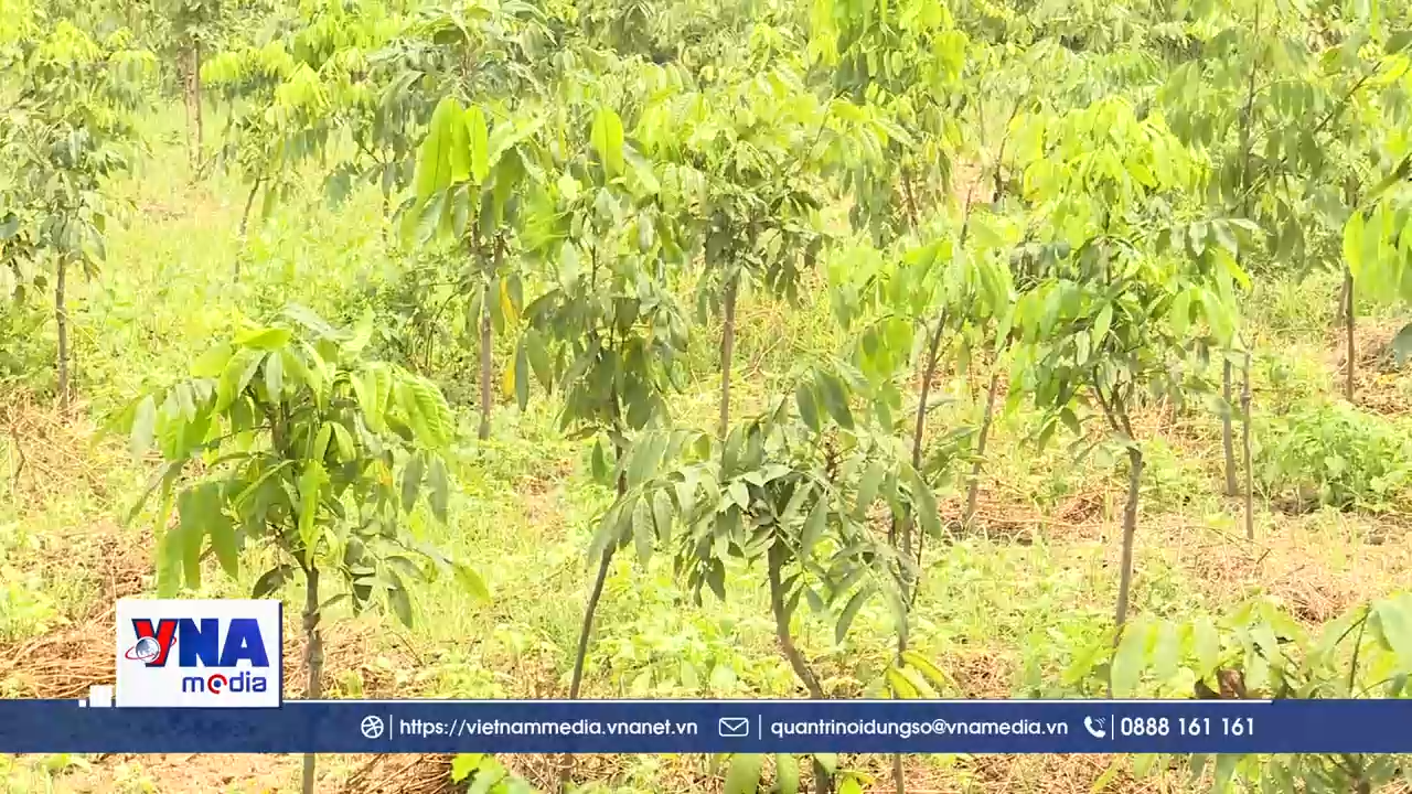 Hưng Yên trước áp lực giải phóng mặt bằng dự án hơn 1,5 tỷ USD