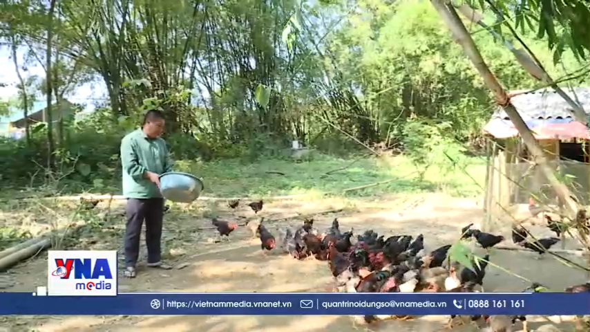 Mô hình kinh tế hiệu quả cho vùng dân tộc thiểu số