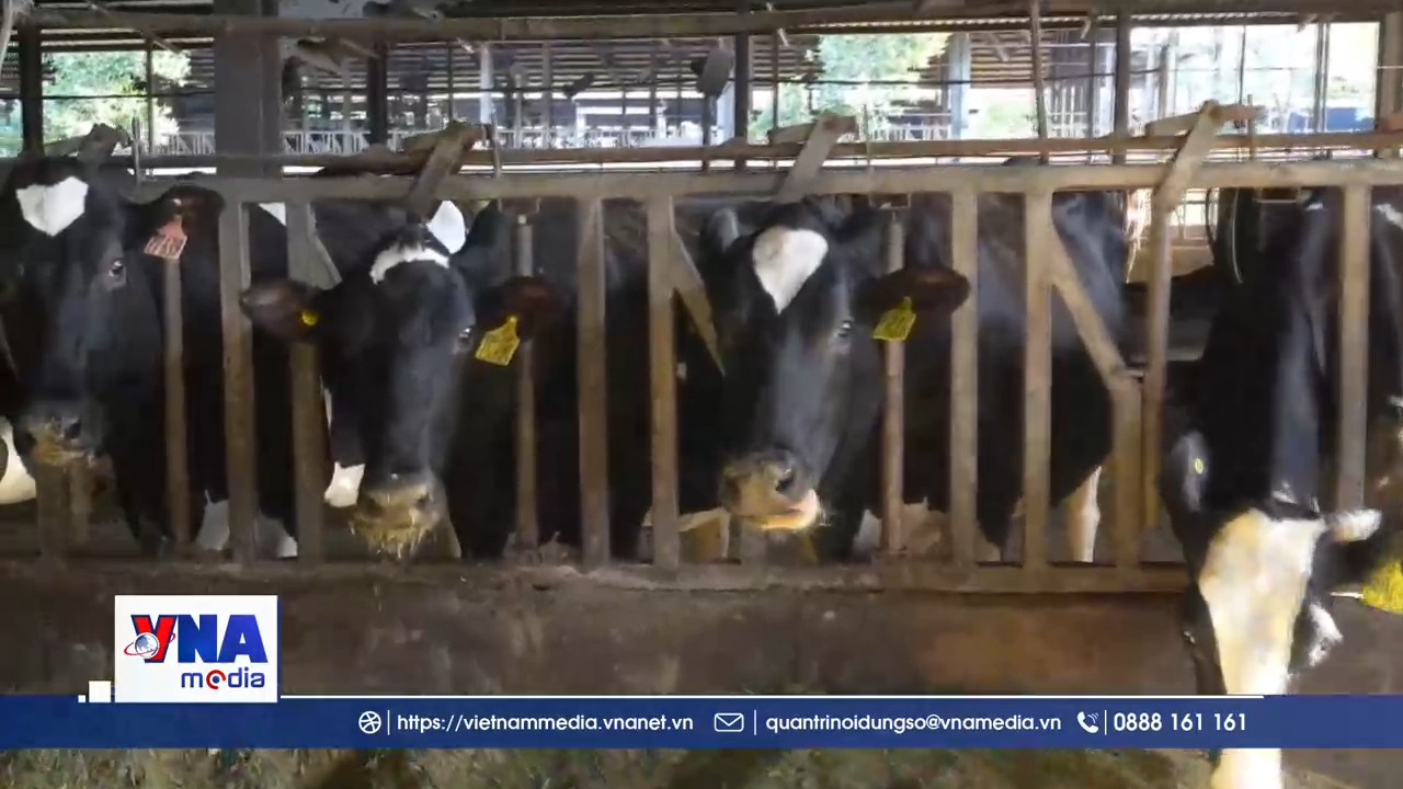 Nông nghiệp thông minh, chìa khóa để nông sản Việt vươn xa