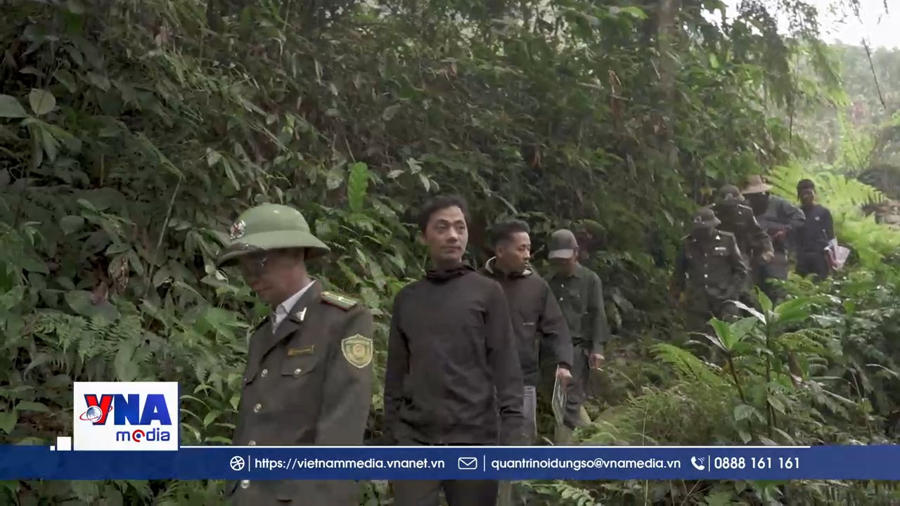 Làm tốt công tác bảo vệ rừng ở Nà Hẩu