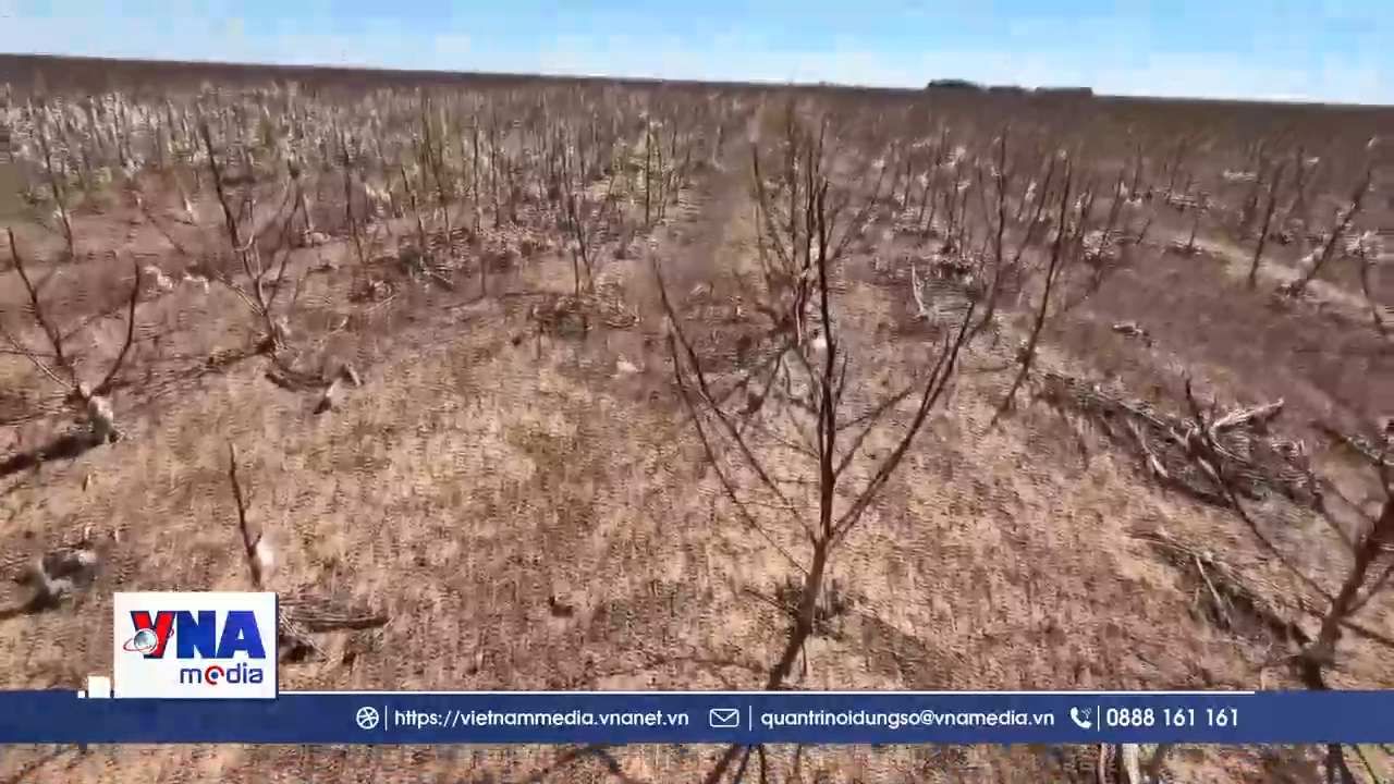 Mỹ ghi nhận hạn hán kỷ lục