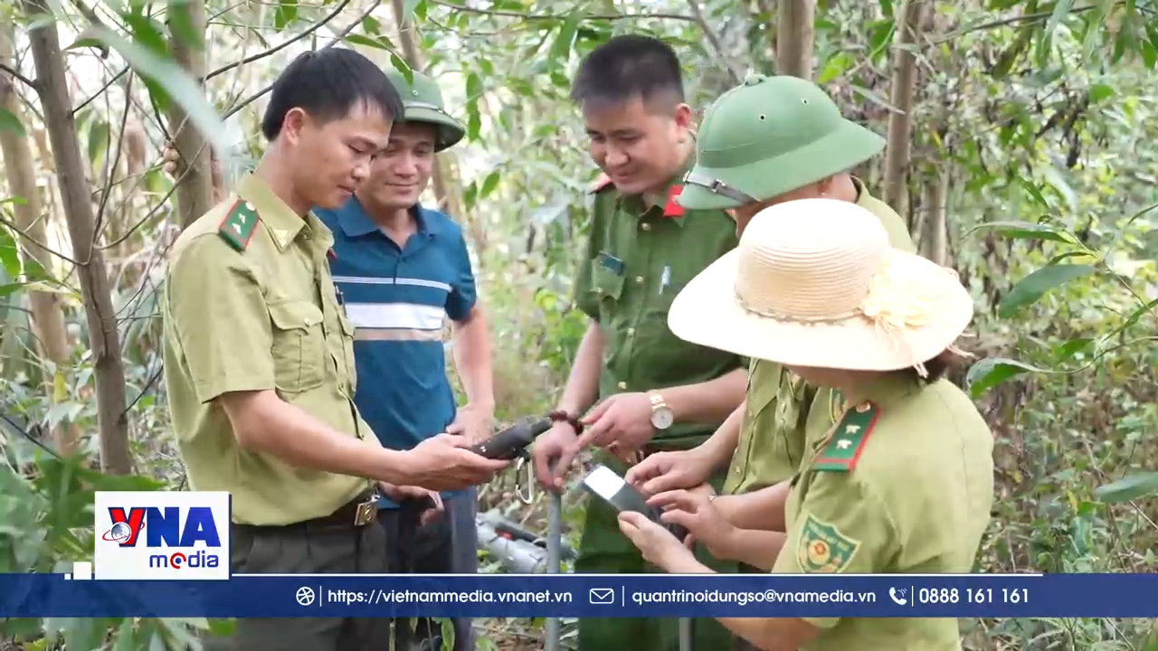 Nghệ An chủ động ứng phó, quyết liệt phòng cháy rừng