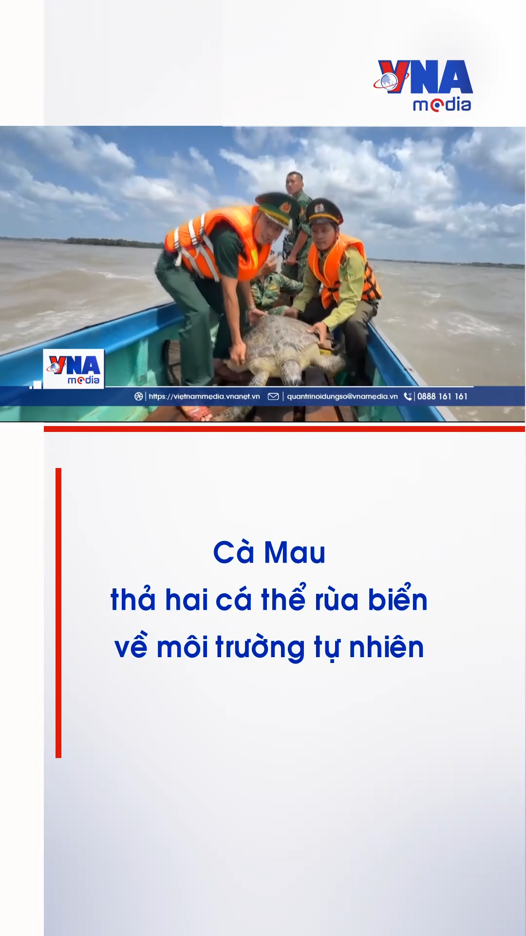 Cà Mau thả hai cá thể rùa biển về môi trường tự nhiên