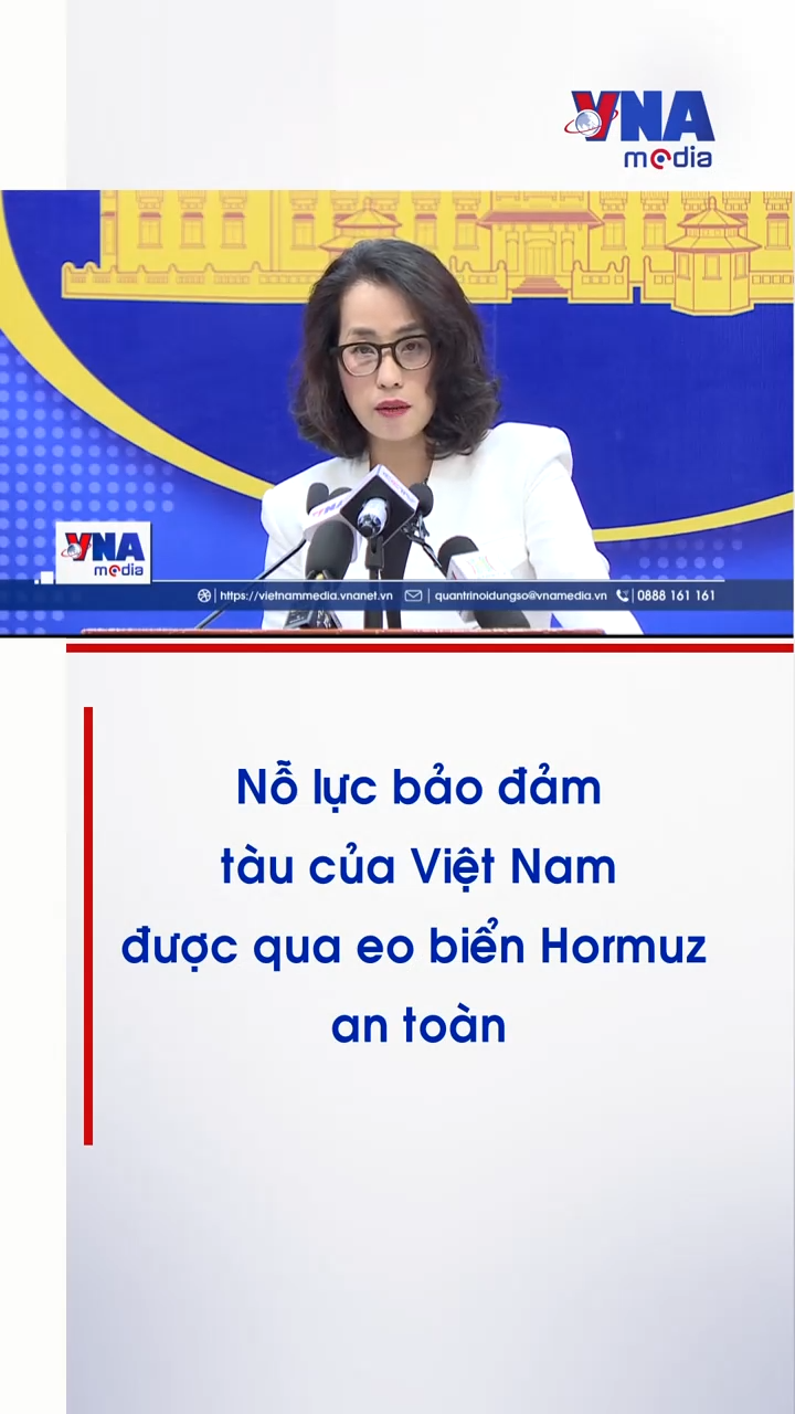 Nỗ lực đảm bảo an toàn cho tàu Việt Nam lưu thông qua lại eo biển Hormuz