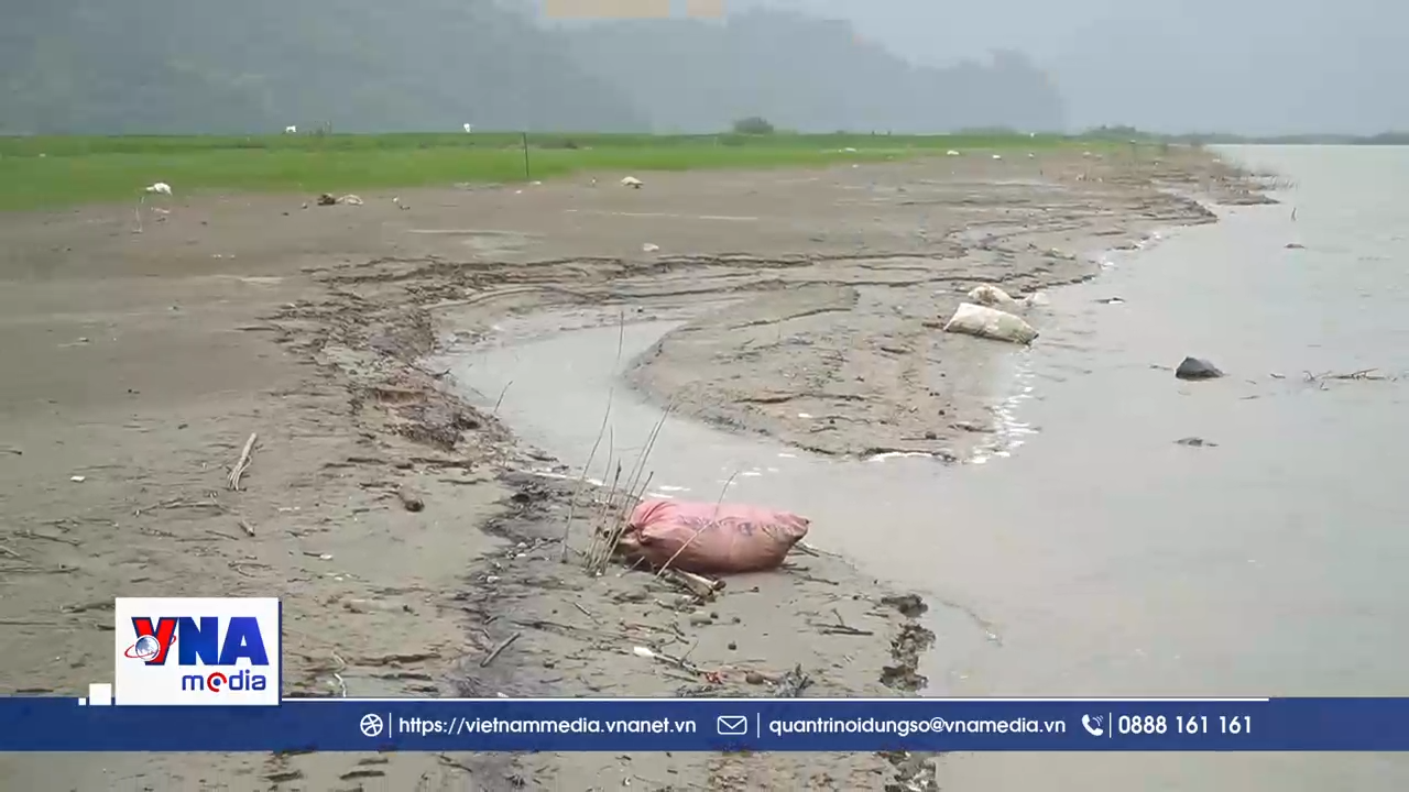 Nguy cơ ảnh hưởng môi trường nước từ rác thải trên hồ Thác Bà