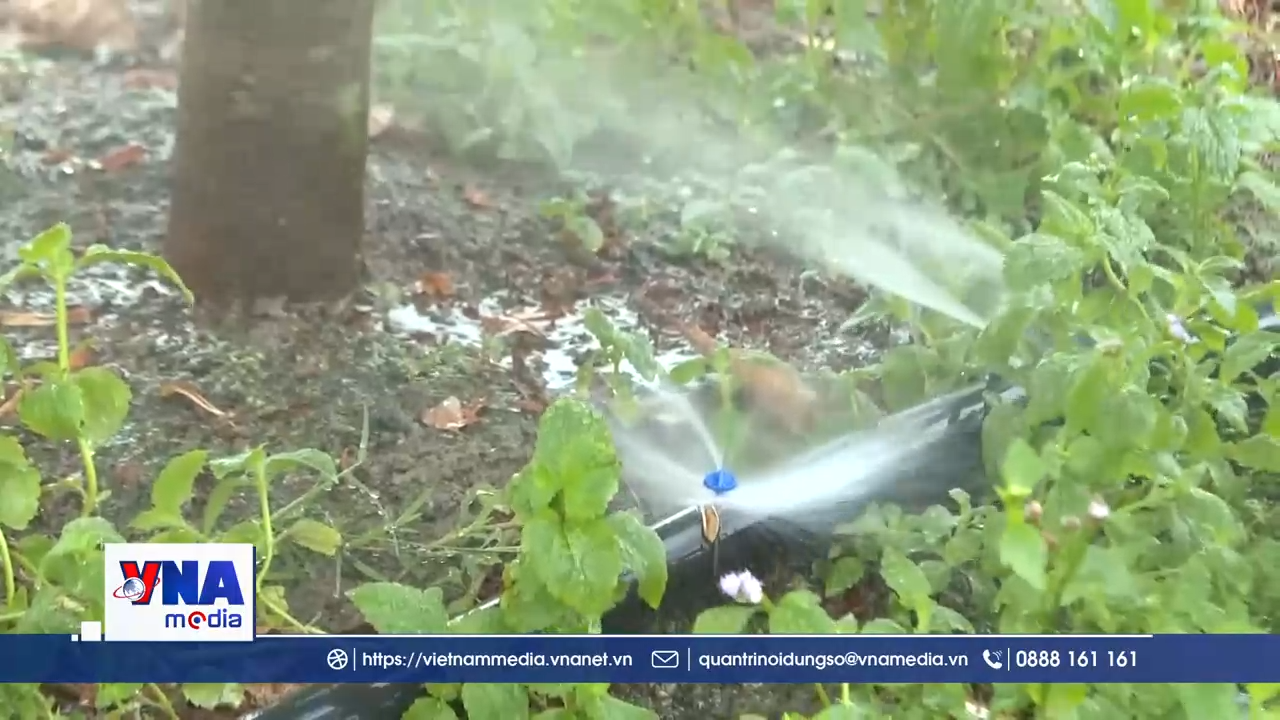 Chủ động nước tưới tiêu cho cao điểm mùa khô