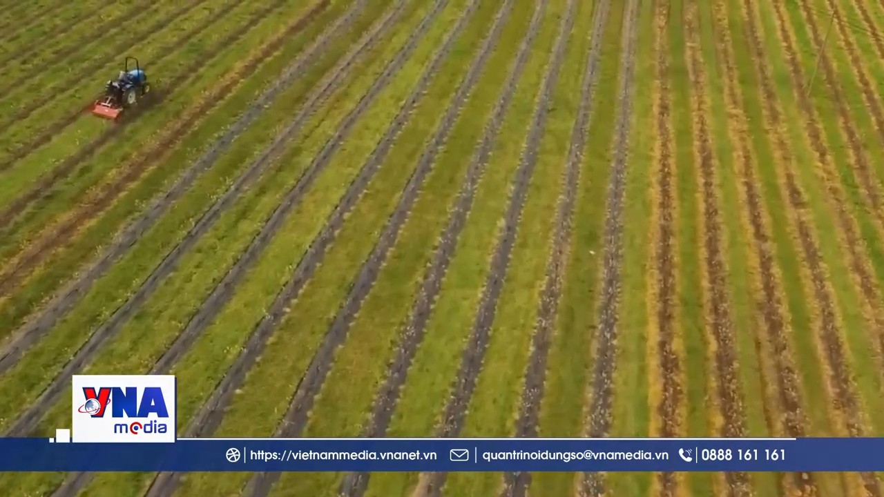 Công nghệ Israel giúp làm mát cây trồng, phục hồi đất