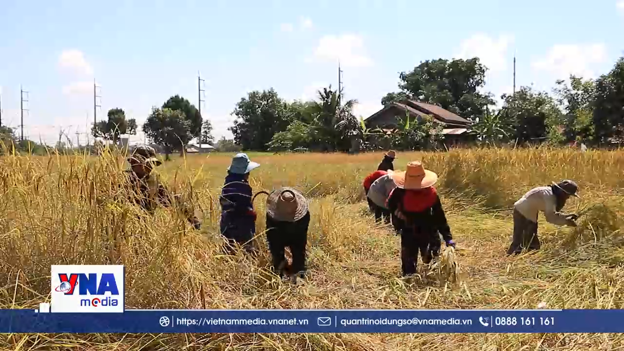 Thái Lan lên kế hoạch ứng phó siêu El Nino sắp tới