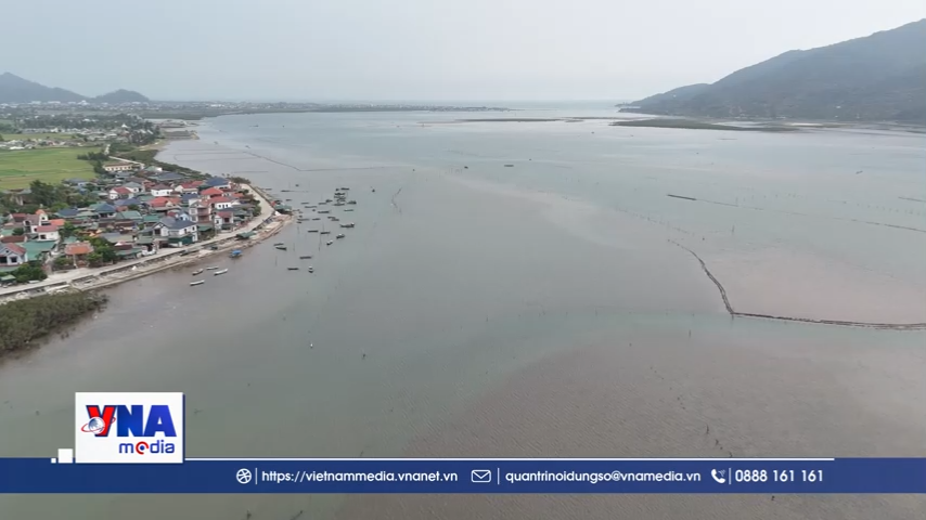 Hà Tĩnh ngao chết hàng loạt khiến người nuôi thiệt hại