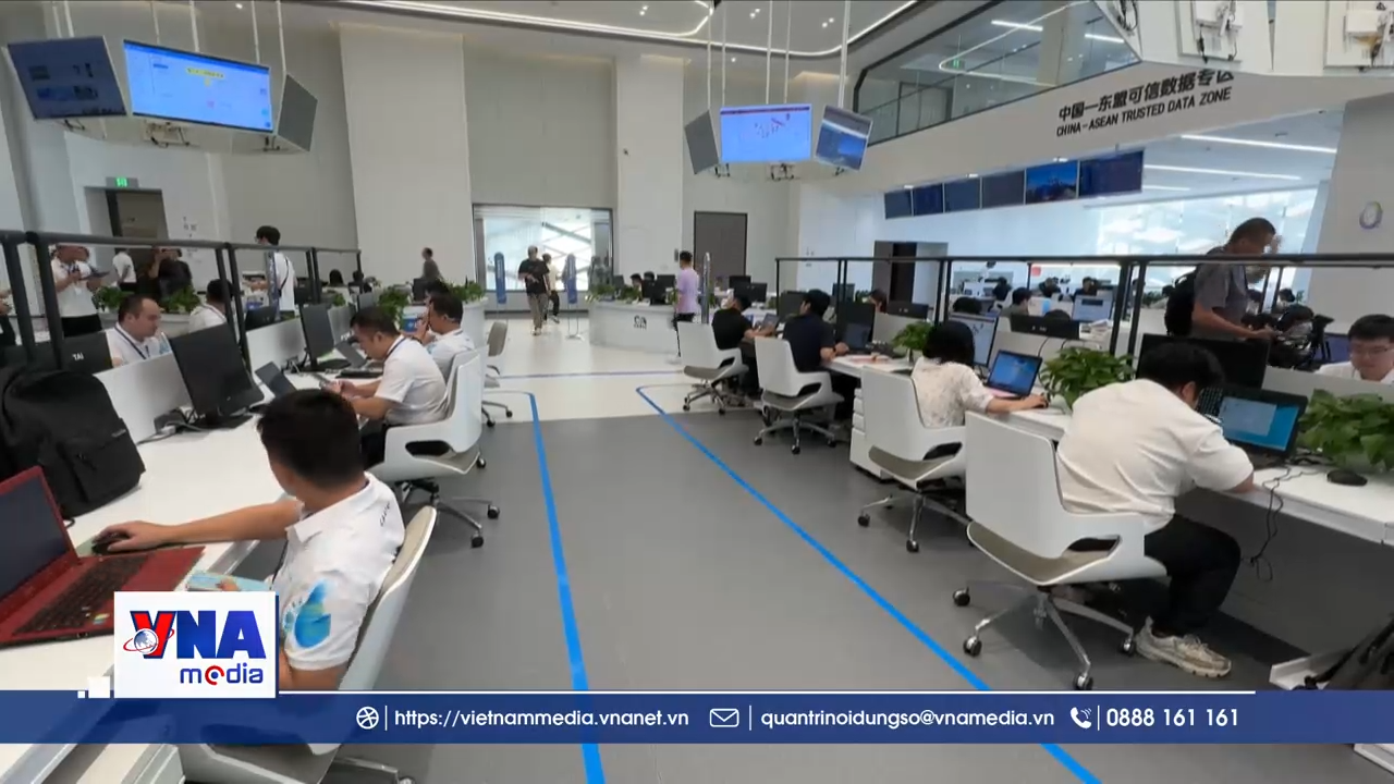 Thâm Quyến tăng tốc thu hút nhân tài, định hình hệ sinh thái đổi mới