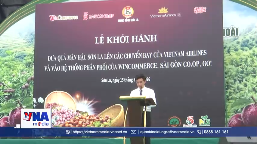 Đưa mận hậu Sơn La lên các chuyến bay và hệ thống bán lẻ