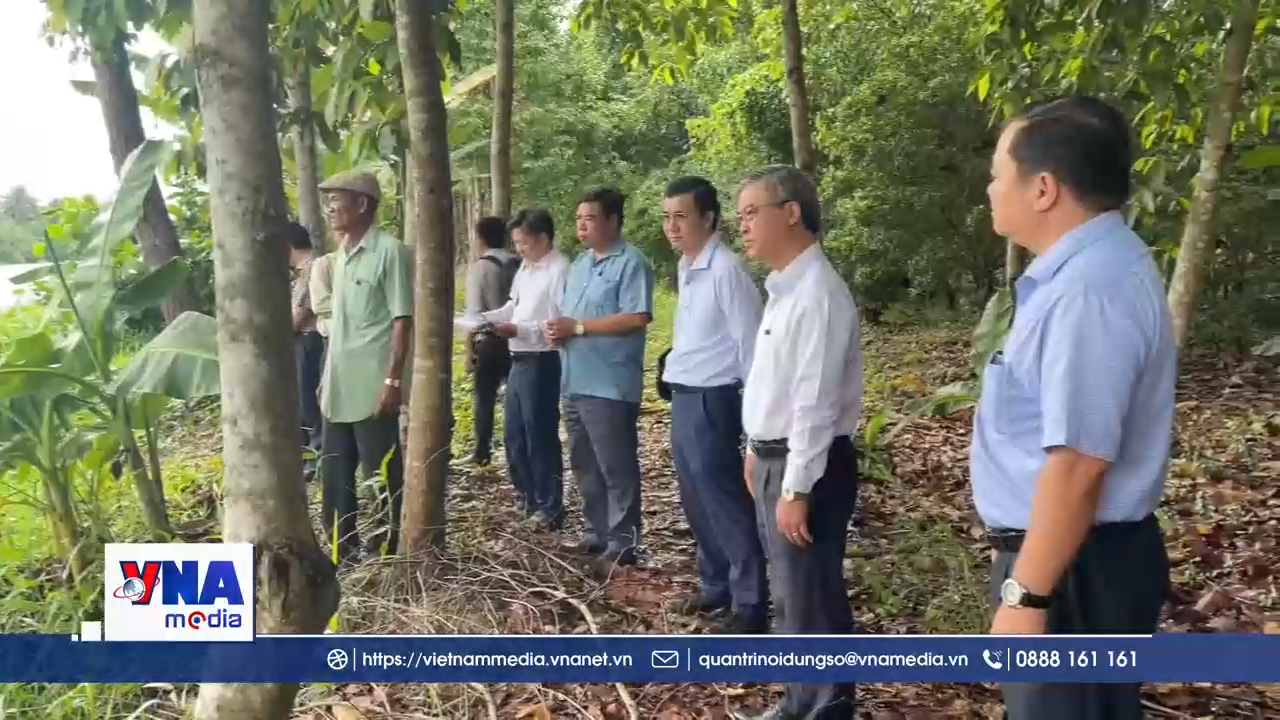 Vĩnh Long xử lý tình trạng sạt lở tại khu vực Chùa Prek Tung