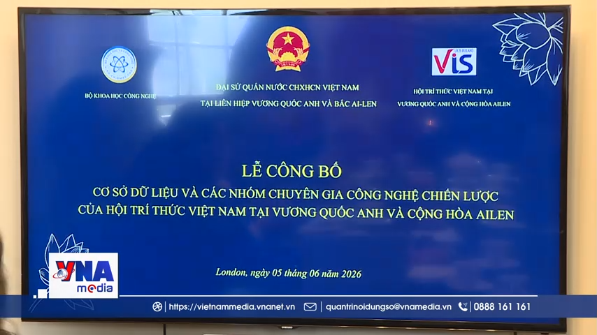 Trí thức Việt Nam tại Anh: Từ mạng lưới đến hệ thống