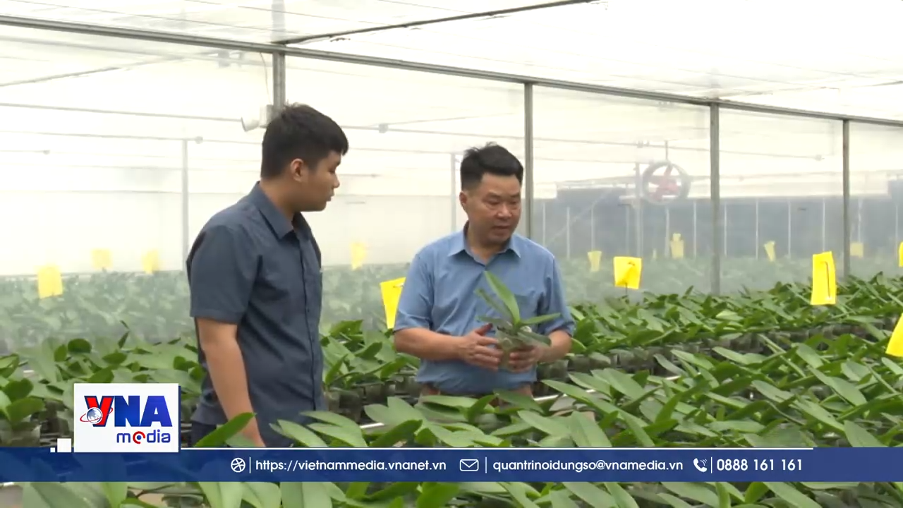 Nông dân Thanh Hóa chuyển đổi số, chuyển giao công nghệ mới trong sản xuất