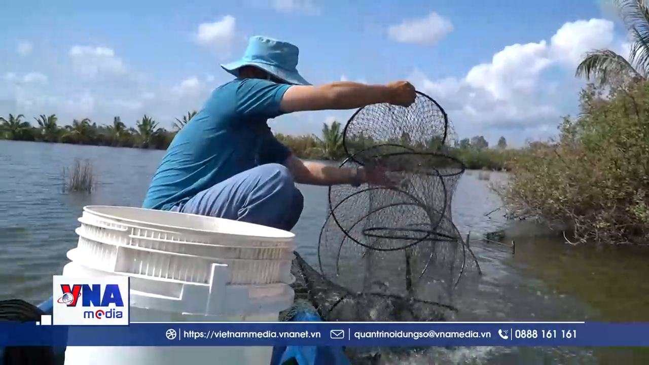 Hiệu quả từ nuôi thủy sản an toàn sinh học ở An Giang