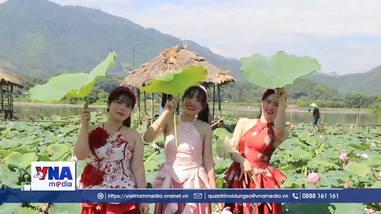 Việt Hồng rực rỡ sắc sen mùa Hạ