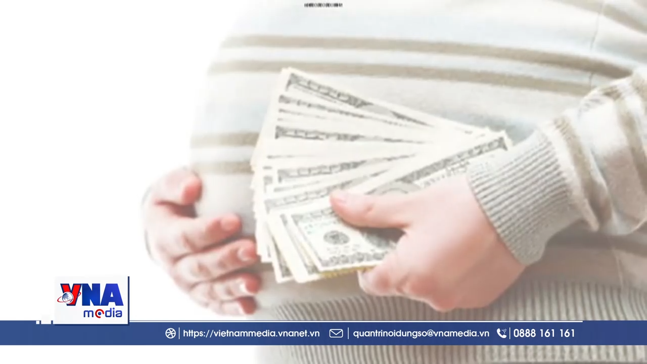 📌Trạm tin số tối ngày 13/6/2026: Quảng Ninh khởi tố đối tượng cầm đầu đường dây môi giới mang thai hộ