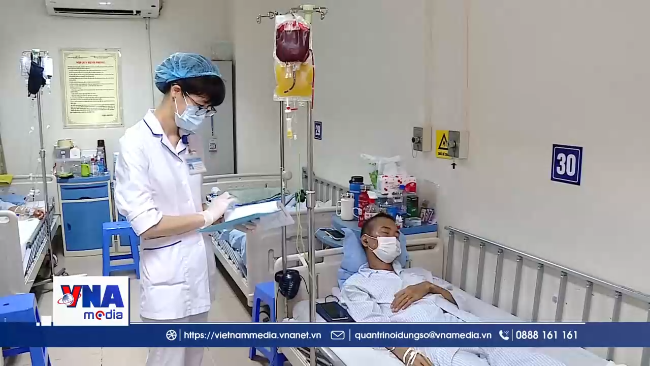 Tế bào gốc mở ra cơ hội điều trị cho bệnh nhân ung thư máu