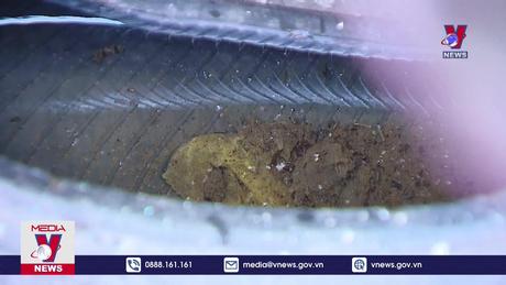 Giám sát các ổ dịch sốt xuất huyết tại Hà Nội 