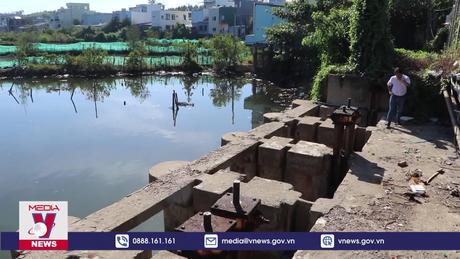 Quảng Ngãi cần sửa chữa, nâng cấp đập ngăn mặn, trữ ngọt