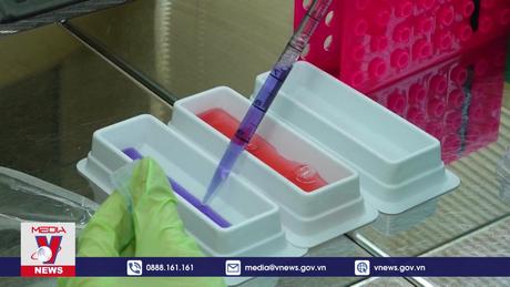 Nguyên nhân bùng phát nhiễm khuẩn salmonella tại châu Âu