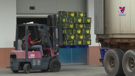 Nhật trình kinh tế ngày 31/8/2023