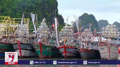 Thủy sản Việt Nam còn cơ hội gỡ thẻ vàng