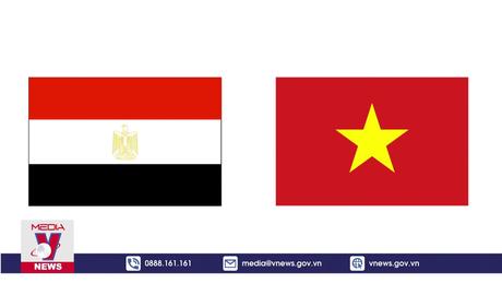 60 năm thiết lập quan hệ ngoại giao Việt Nam-Ai Cập