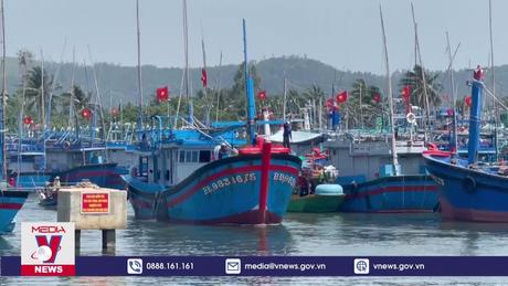 Xuất khẩu cá ngừ sang Hàn Quốc tăng gấp 2,5 lần