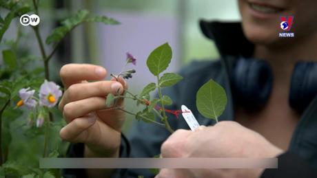 Tạp chí toàn cầu số 778 ngày 01/9/2023