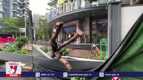 Bão Saola đổ bộ miền Nam Trung Quốc